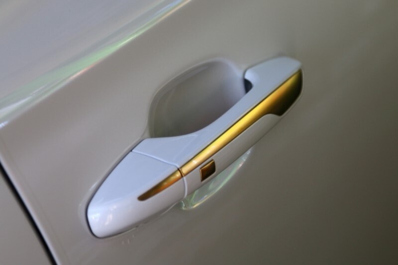 Universal Plater Chrome Edition – Automotive Gold Plating Machine – w/8oz gold