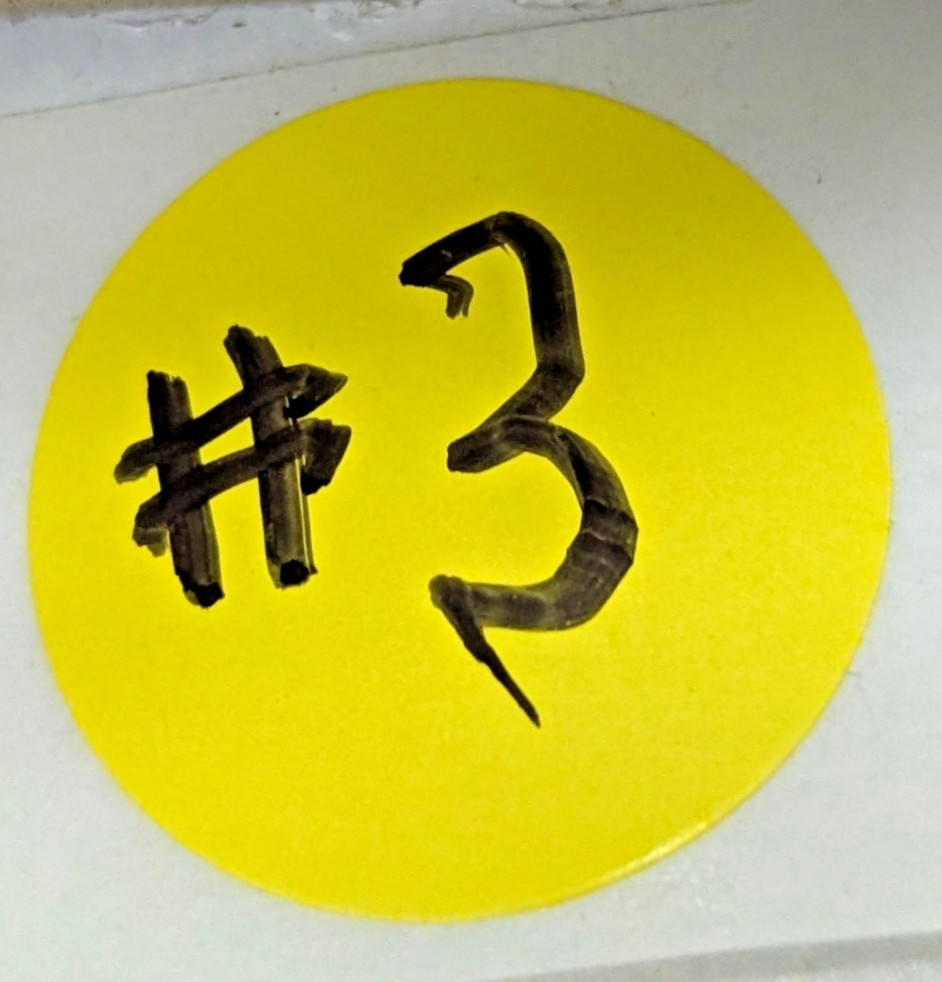 L20-J83 Sunnen 280 Grit Silicon Carbide L20 Mandril (Set Of 4 Stones) #3