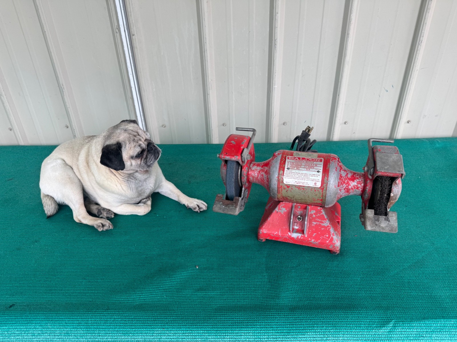 Baldor 612R Bench Grinder Buffer Wire Wheel 1/3 hp – 3600 Rpm 6″ USA See Video
