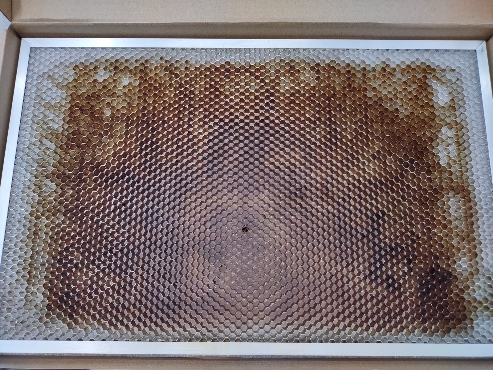 Dremel Digilab LC40 Laser Cutter (SEE DESCRIPTION) Tested and Cleaned